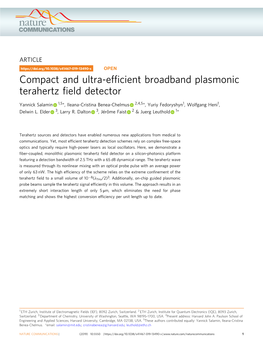 Compact and Ultra-Efficient Broadband Plasmonic Terahertz Field Detector