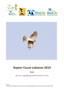 Raptor Count Lebanon 2019