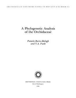 A Phylogenetic Analysis of The-Orchidaceae
