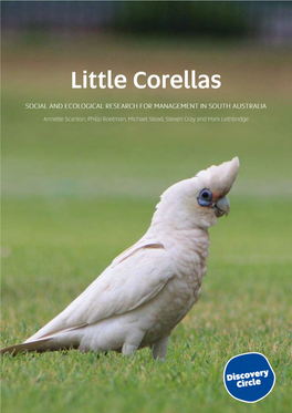Little Corella Project Report