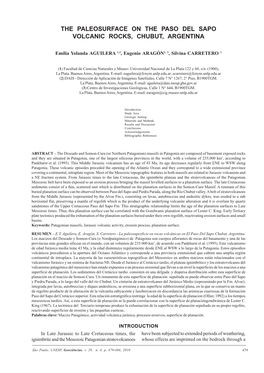 The Paleosurface on the Paso Del Sapo Volcanic Rocks, Chubut, Argentina