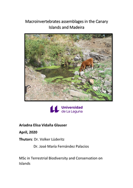 Macroinvertebrates Assemblages in the Canary Islands and Madeira