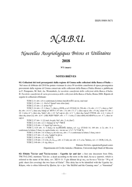 NABU-2018-1 FINAL.Pdf