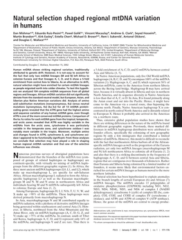 Natural Selection Shaped Regional Mtdna Variation in Humans