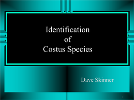 Identification of Costus Species