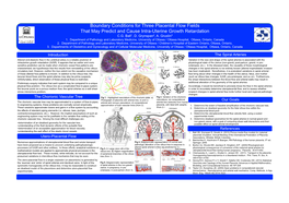 Boundary Conditions for Three Placental Flow Fields That May