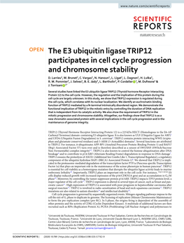 The E3 Ubiquitin Ligase TRIP12 Participates in Cell Cycle Progression and Chromosome Stability D