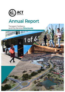 TCCS Annual Report 2020