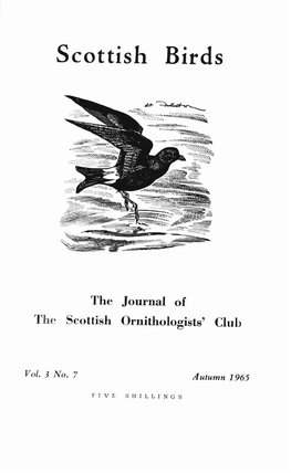 Scottish Birds