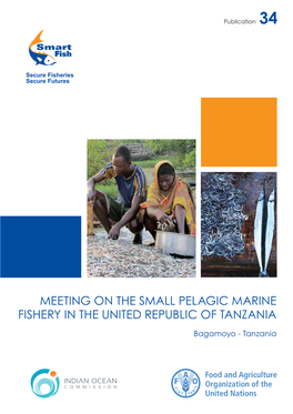 Meeting on the Small Pelagic Marine Fishery in the United Republic of Tanzania