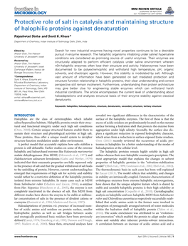 Protective Role of Salt in Catalysis and Maintaining Structure of Halophilic Proteins Against Denaturation