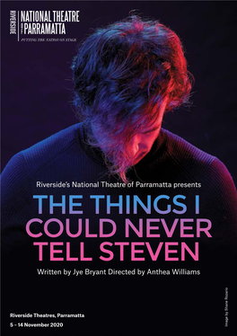 To Download the Things I Could Never Tell Steven Program
