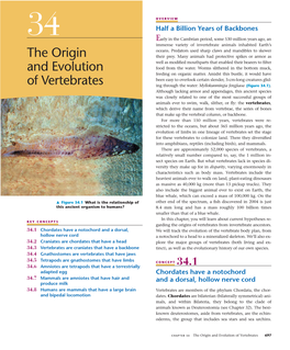 The Origin and Evolution of Vertebrates 697 Echinodermata (Sister Group to Chordates)