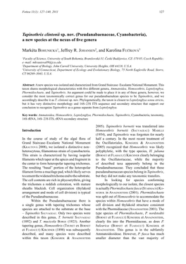 Pseudanabaenaceae, Cyanobacteria), a New Species at the Nexus of Five Genera