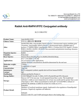 Rabbit Anti-RAPH1/FITC Conjugated Antibody-SL21158R-FITC