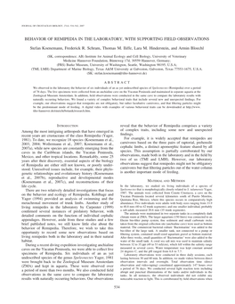 Behavior of Remipedia in the Laboratory, with Supporting Field Observations