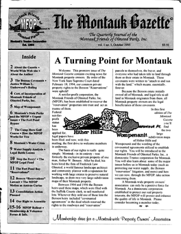 Turning Point for Montauk