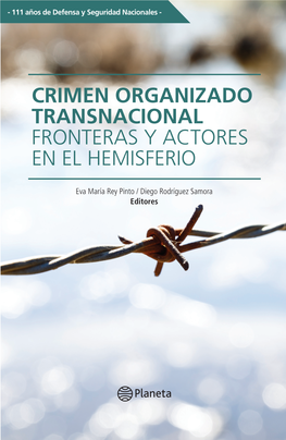 Crimen Organizado Transnacional Fronteras Y Actores En El Hemisferio