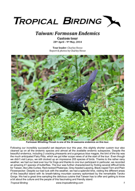 Taiwan: Formosan Endemics Custom Tour 28Th April – 9Th May, 2014