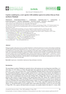 Lepiota Condylospora, a New Species with Nodulose Spores in Section Lilaceae from Northern Thailand