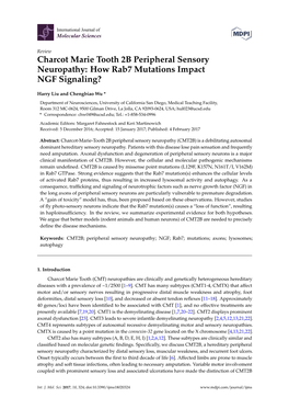 Charcot Marie Tooth 2B Peripheral Sensory Neuropathy: How Rab7 Mutations Impact NGF Signaling?