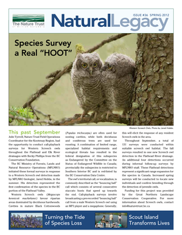 Species Survey a Real “HOOT”