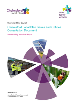 Chelmsford Local Plan Issues and Options Consultation Document