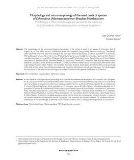 Morphology and Micromorphology of the Seed Coats of Species