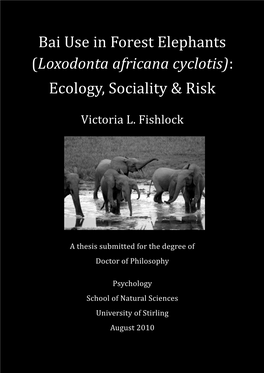 Bai Use in Forest Elephants (Loxodonta Africana Cyclotis): Ecology, Sociality & Risk