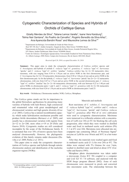 Cytogenetic Characterization of Species and Hybrids of Orchids of Cattleya Genus