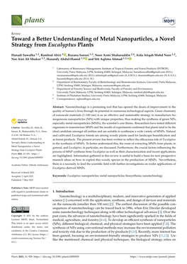 Toward a Better Understanding of Metal Nanoparticles, a Novel Strategy from Eucalyptus Plants