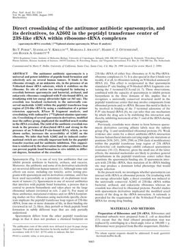 Direct Crosslinking of the Antitumor Antibiotic Sparsomycin, and Its