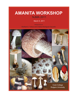 AMANITA WORKSHOP NJMA 2011 March 5, 2011