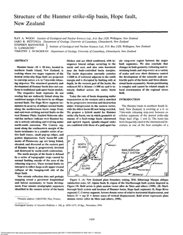 Structure of the Hanmer Strike-Slip Basin, Hope Fault, New Zealand