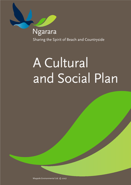 A Cultural and Social Plan