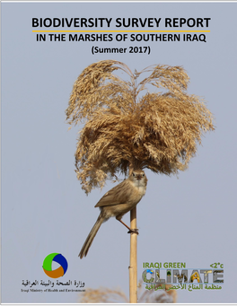 BIODIVERSITY SURVEY REPORT in the MARSHES of SOUTHERN IRAQ (Summer 2017)