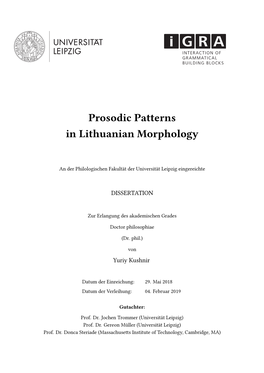 Prosodic Patterns in Lithuanian Morphology