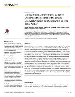 Molecular and Morphological Evidence Challenges the Records of the Extant Liverwort Ptilidium Pulcherrimum in Eocene Baltic Amber