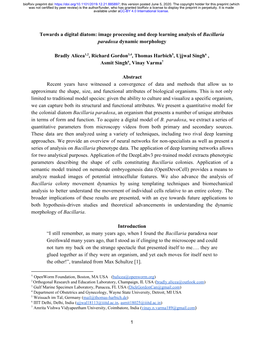 Towards a Digital Diatom: Image Processing and Deep Learning Analysis of Bacillaria ​ Paradoxa Dynamic Morphology ​