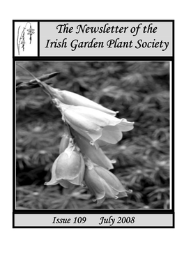 Newsletter 109 July 2008