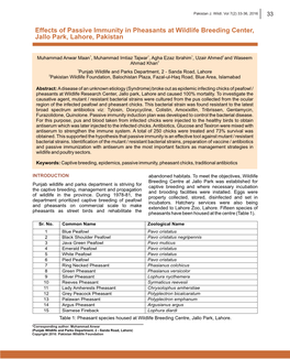 5. Effects of Passive Immunity in Pheasants at Wildlife Breeding Center