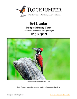Sri Lanka Budget Birding Tour 10Th to 20Th November 2018 (11 Days) Trip Report