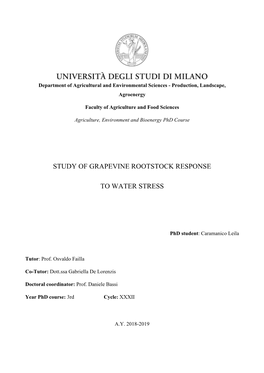 Study of Grapevine Rootstock Response To