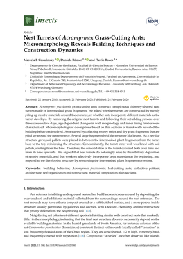 Nest Turrets of Acromyrmex Grass-Cutting Ants: Micromorphology Reveals Building Techniques and Construction Dynamics