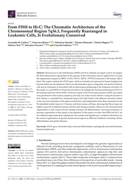 The Chromatin Architecture of the Chromosomal Region 7Q36.3, Frequently Rearranged in Leukemic Cells, Is Evolutionary Conserved