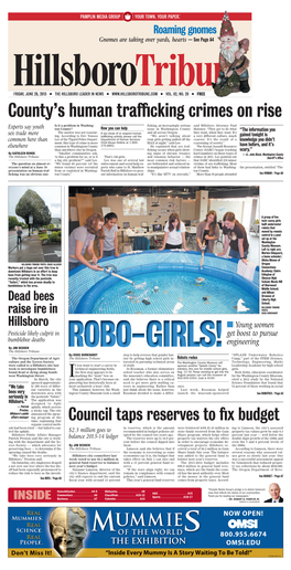 Hillsboro Tribune, 06/28/2013