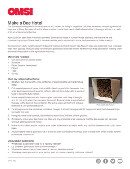 Make a Bee Hotel the European Honeybee Is Famously Social and Known for Living in Large Hive Colonies