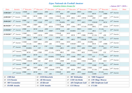 Ligue Nationale Du Football Amateur