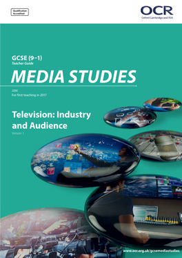 Television: Industry and Audience Version 1