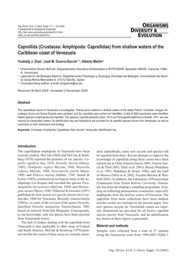 Caprellids (Crustacea: Amphipoda: Caprellidae) from Shallow Waters of the Caribbean Coast of Venezuela